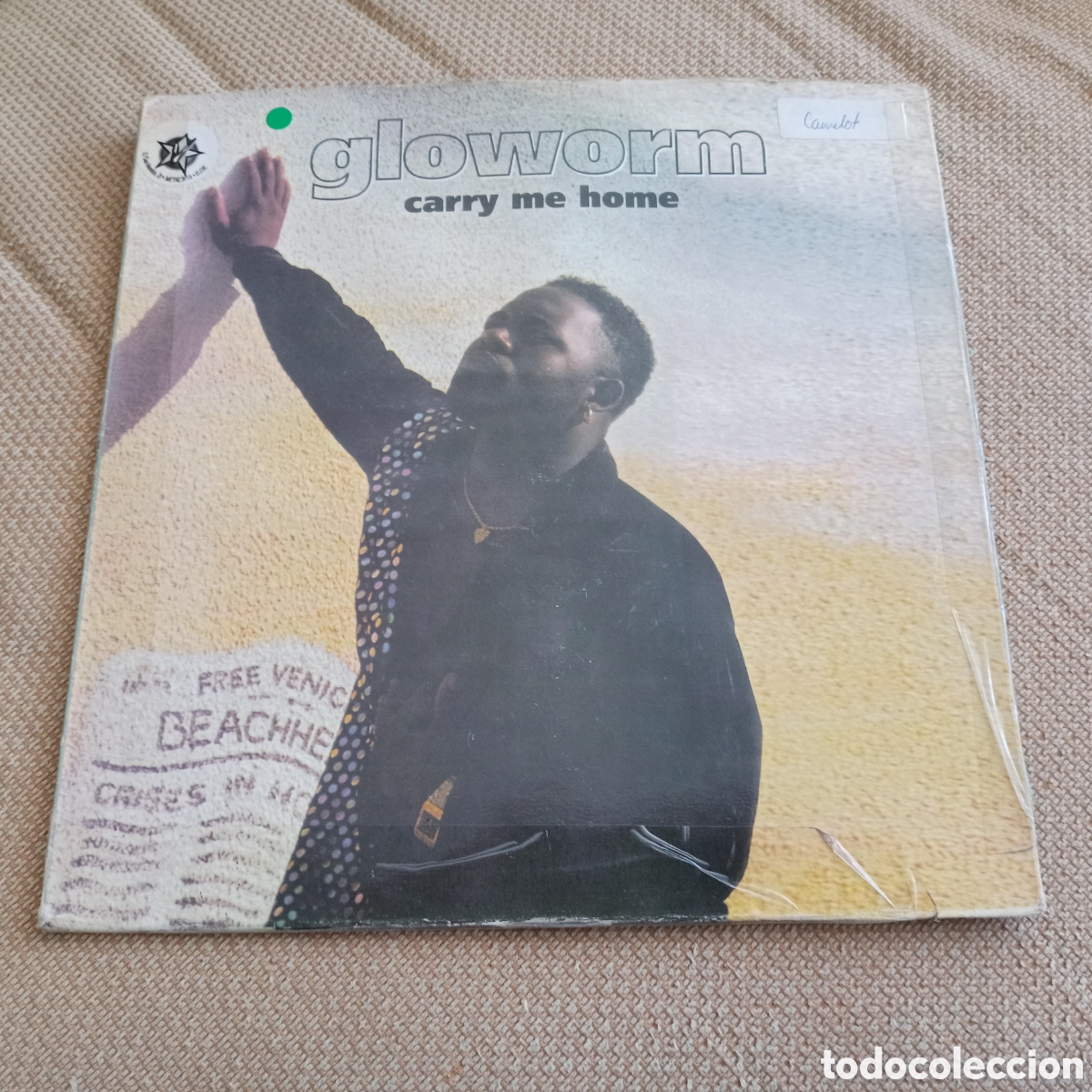 Discos de vinilo: Gloworm - Carry Me Home (12&rdquo;) - Foto 1