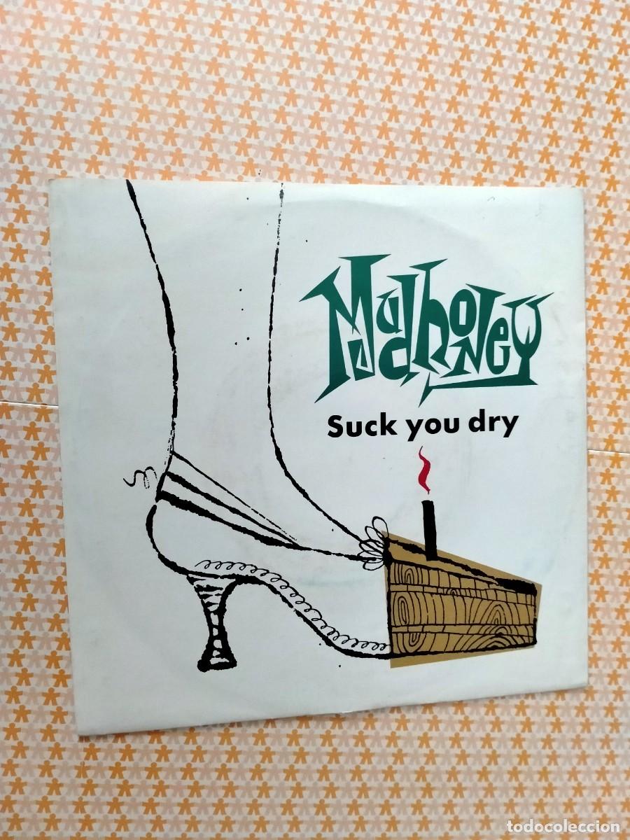 Discos de vinilo: vinilo single de mudhoney - Foto 1