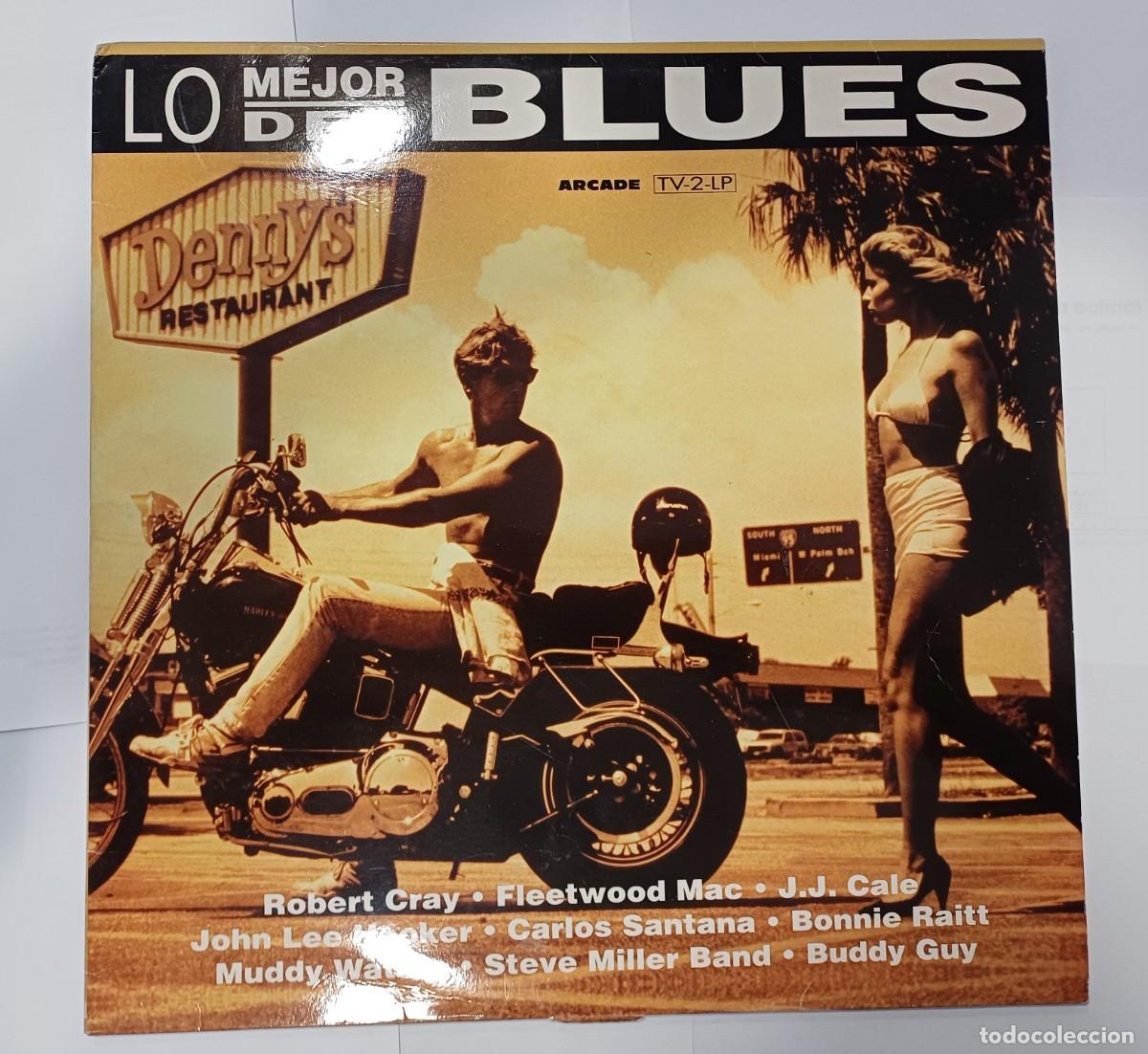 Discos de vinilo: LO MEJOR DEL BLUES 2LP