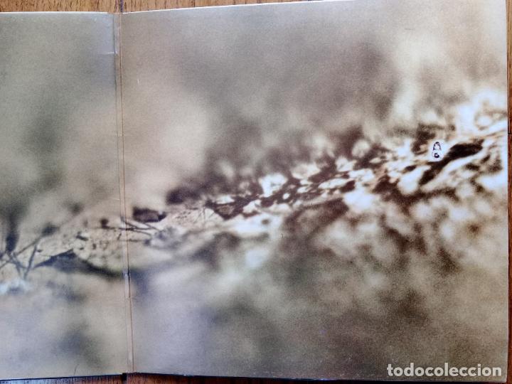 Discos de vinilo: Tangerine Dream - Rubycon - Foto 3