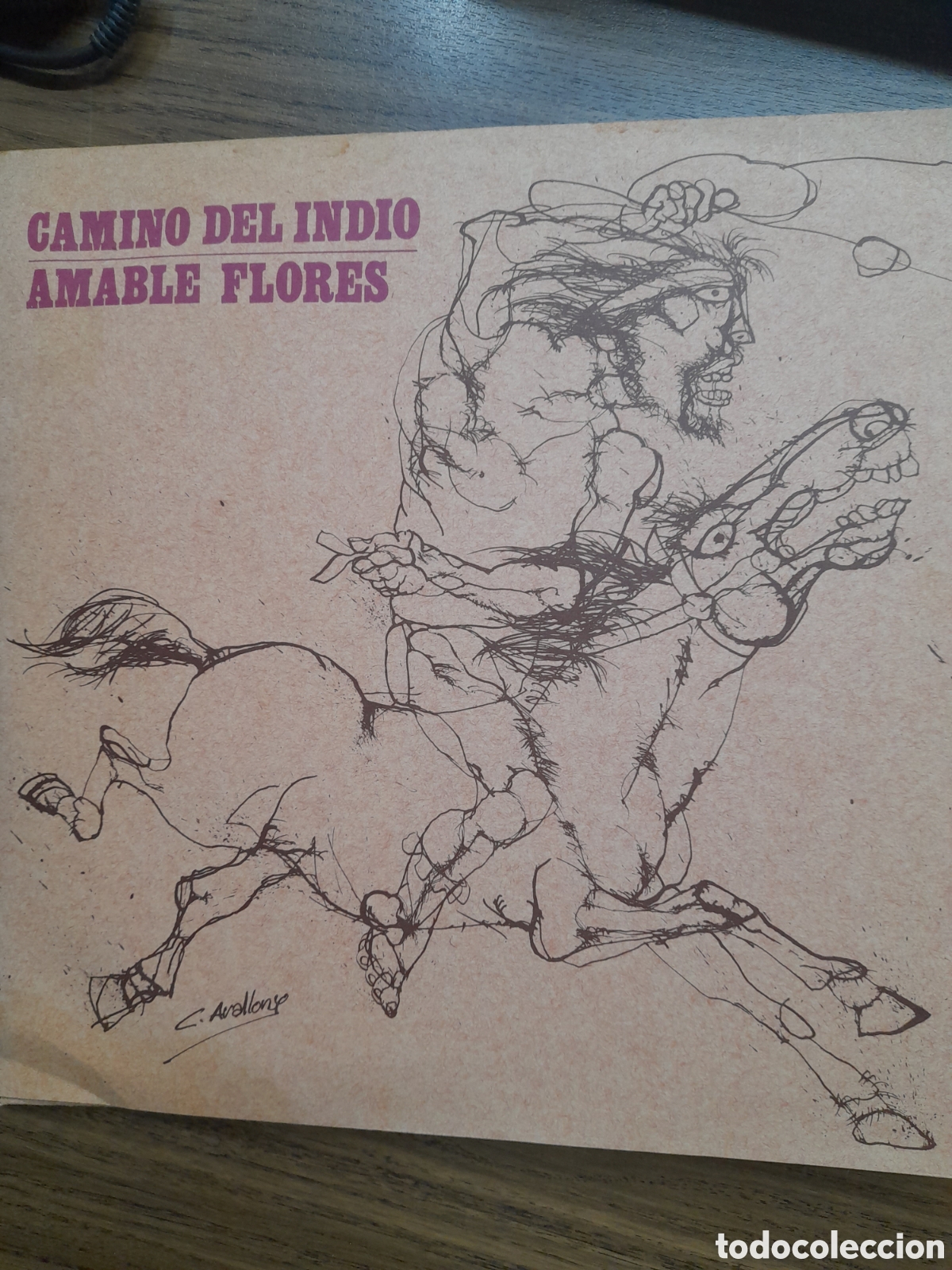 Discos de vinilo: Camino del Indio. Amable Flores. - Foto 1