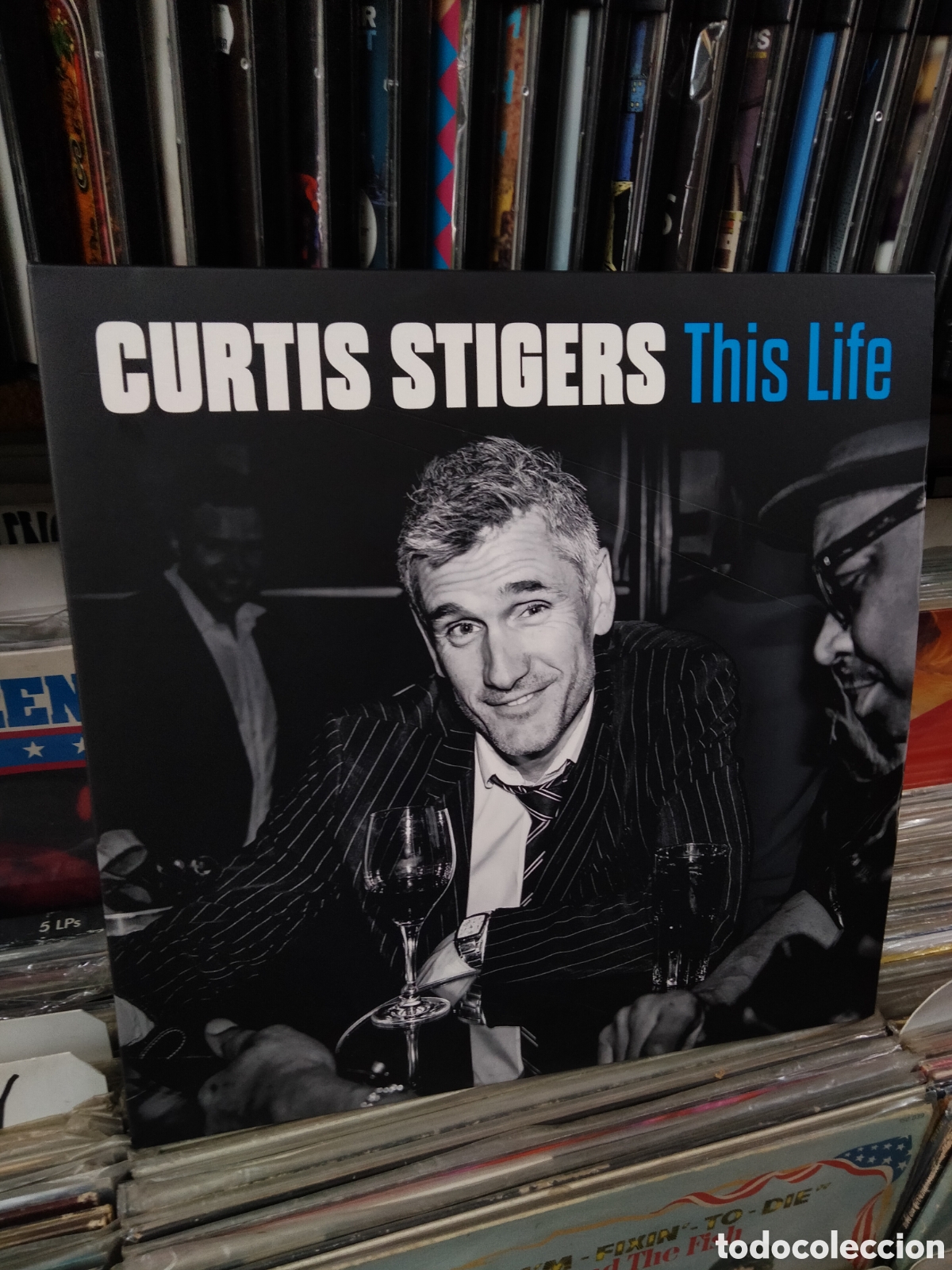 Discos de vinilo: Curtis stigers this life - Foto 1