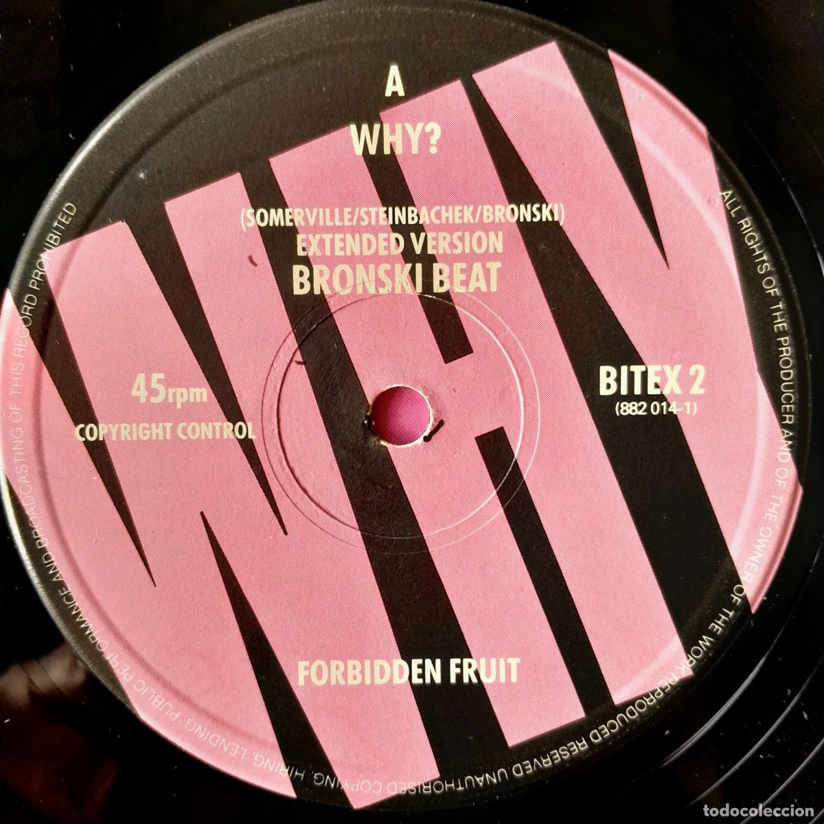 Discos de vinilo: BRONSKI BEAT : WHY? [FORBIDEN FRUIT - UK 1984] 12&rdquo; - Foto 3