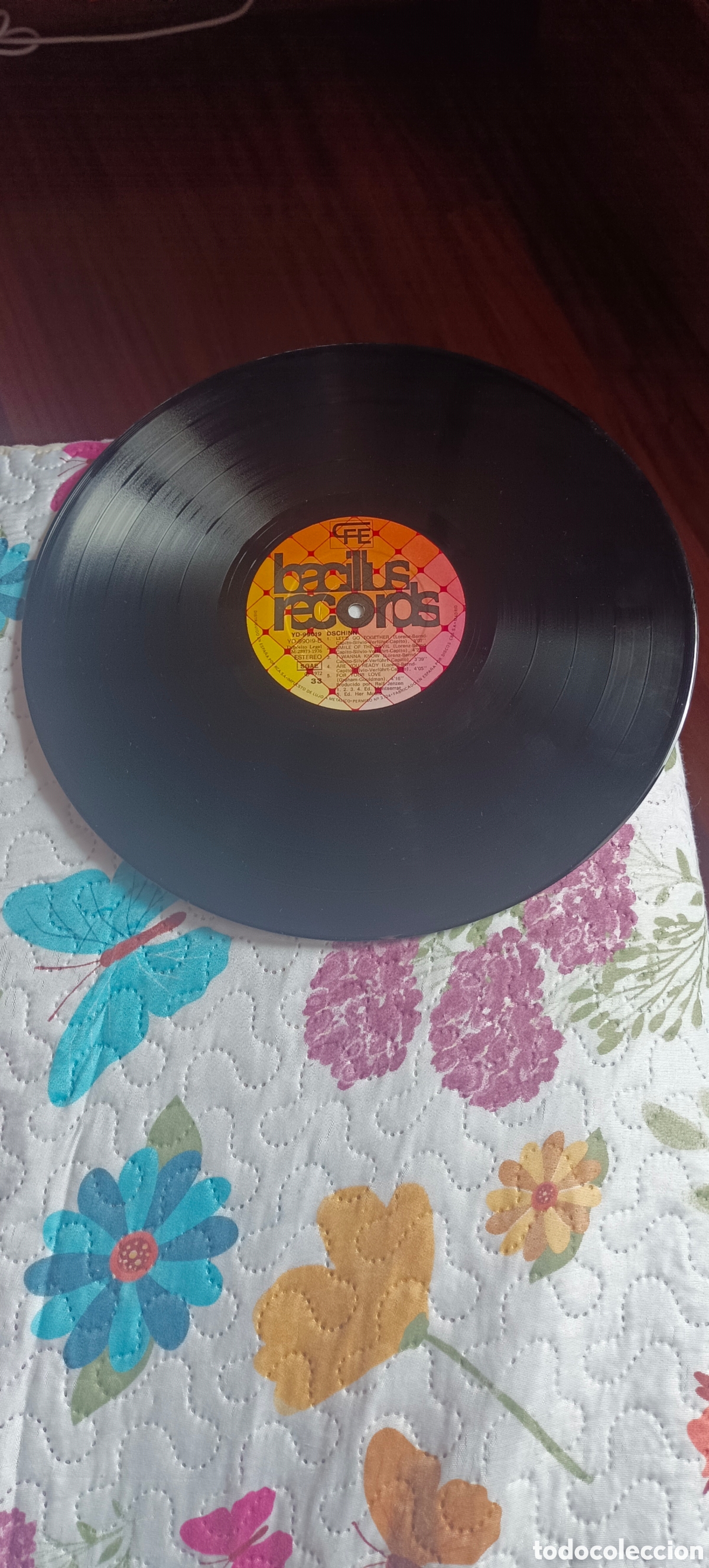 Discos de vinilo: Dschinn Vinilo - Foto 4