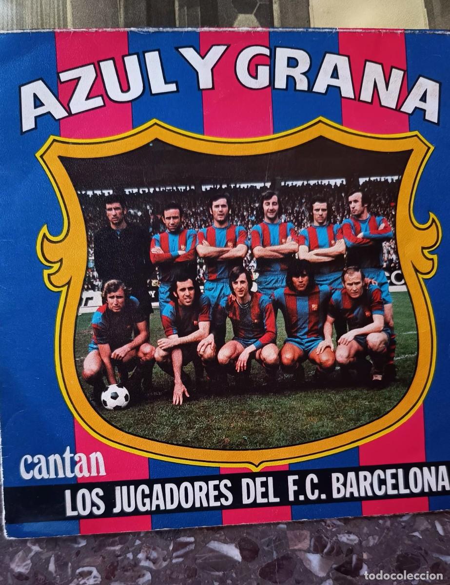 Discos de vinilo: Vinilo Azul y grana - Foto 1