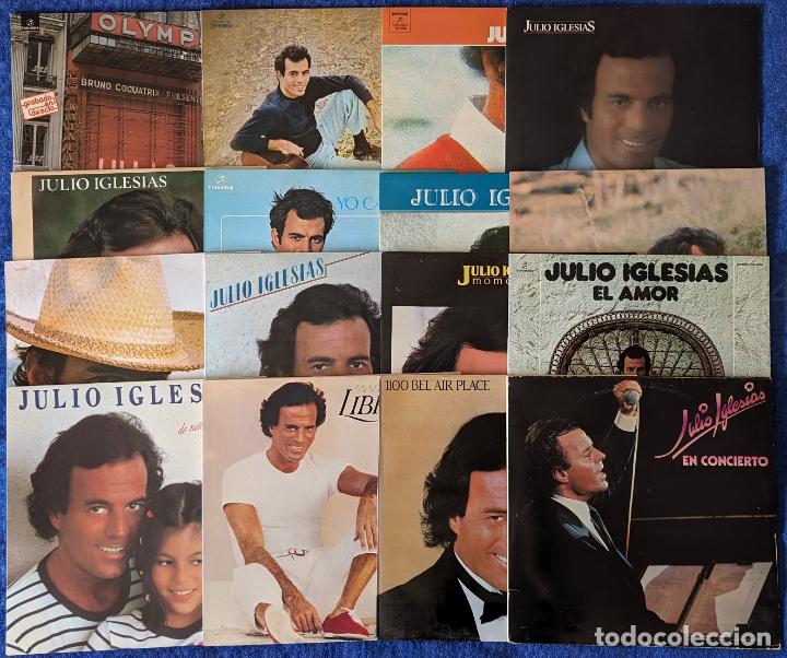 Discos de vinilo: Lote de 16 Lps de Julio Iglesias - Foto 1