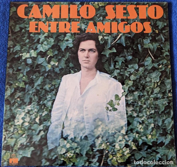 Discos de vinilo: Lote de 14 LPs de Camilo Sesto - Foto 2