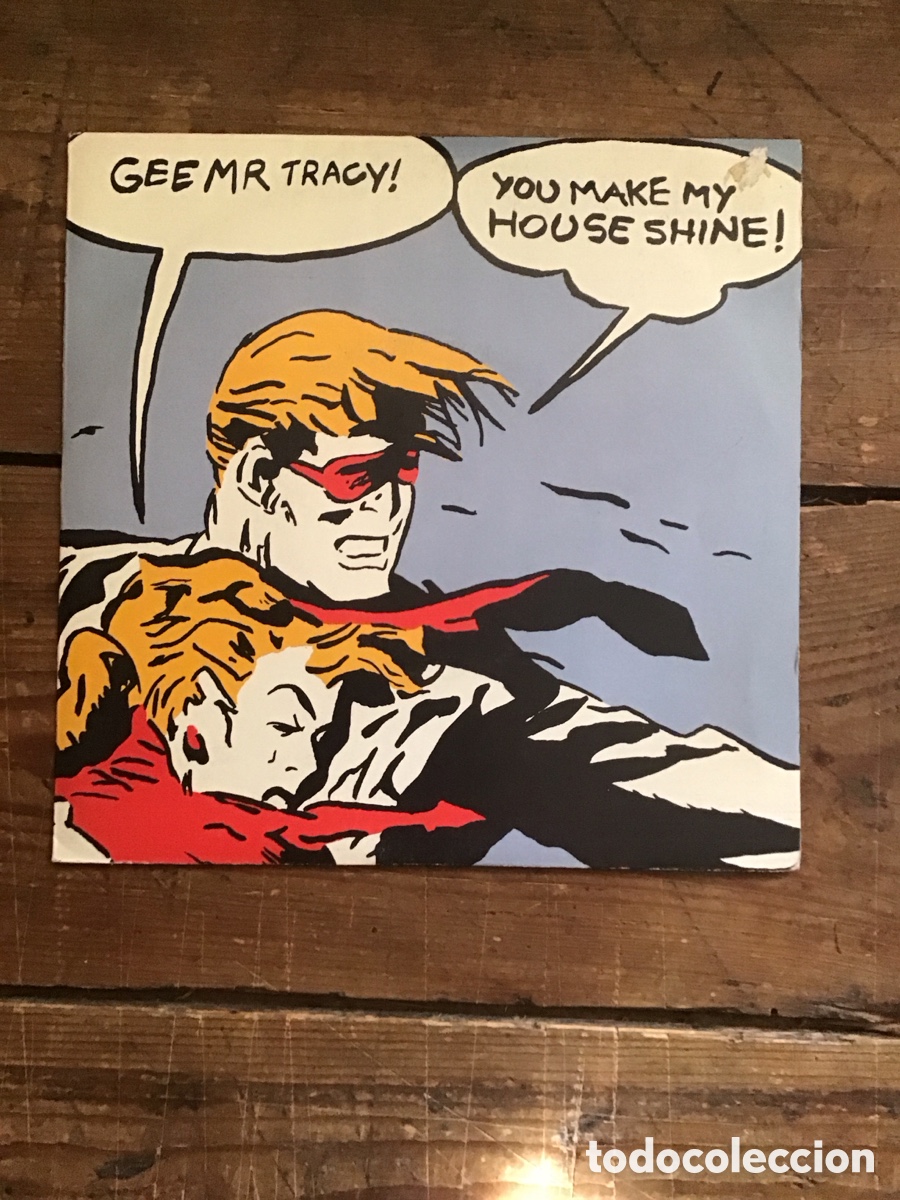 Vinyl records: Gee Mr Tracy-You make my house shine