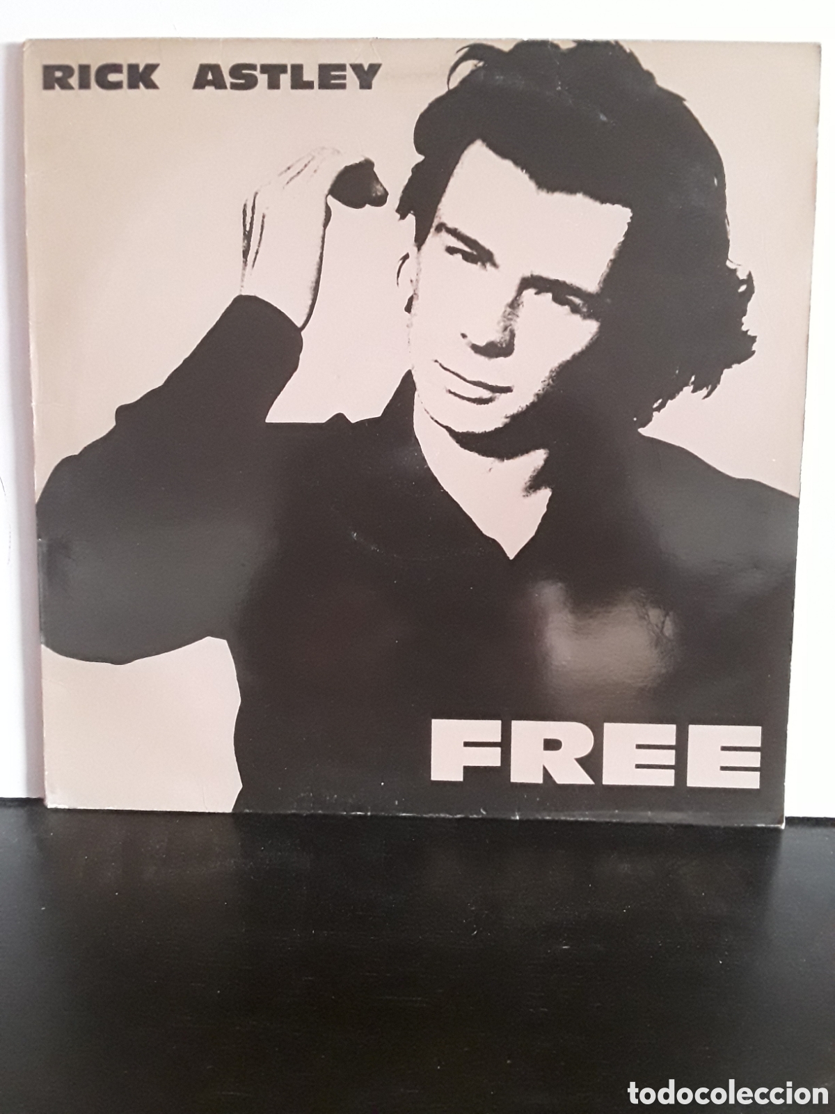 Discos de vinilo: Rick Astley &lrm;&ndash; Free - Foto 1
