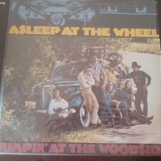 Discos de vinilo: ASLEEP AT THE WHEEL- JUMPIN' AT THE WOODSIDE