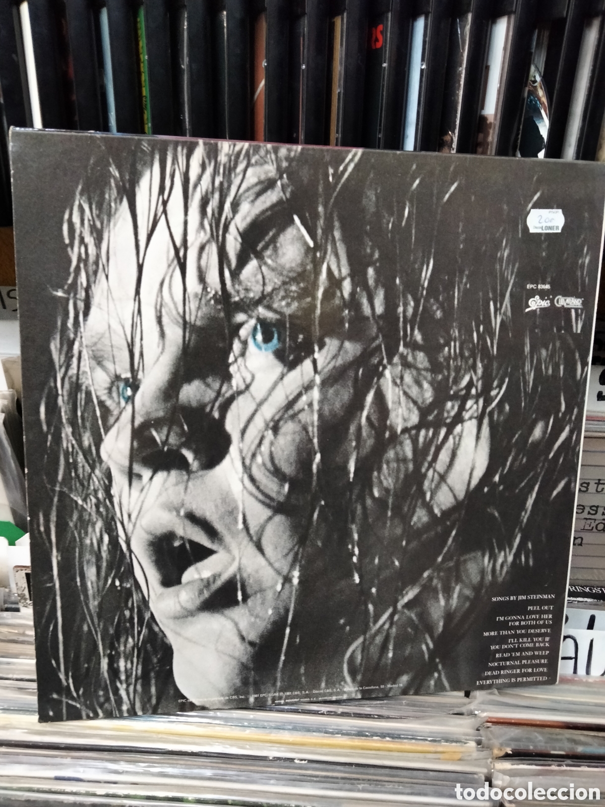 Discos de vinilo: Meat loaf - Foto 2