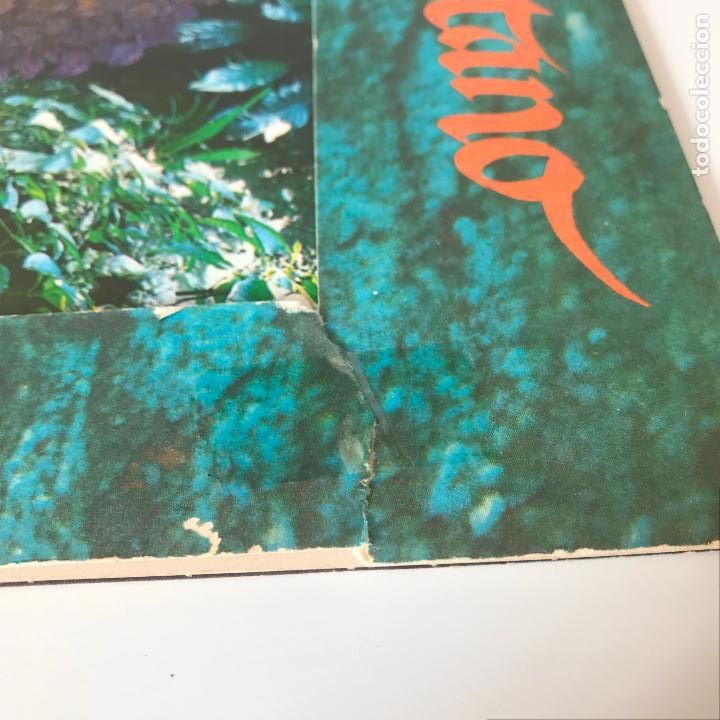 Discos de vinilo: Danny Rivera. Gitano. - Foto 6
