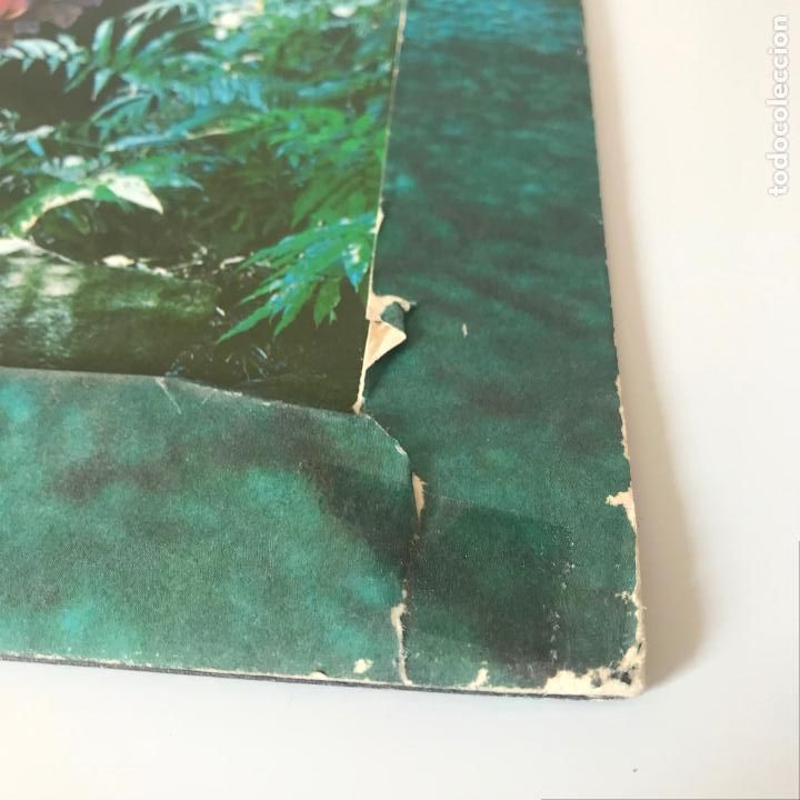 Discos de vinilo: Danny Rivera. Gitano. - Foto 7