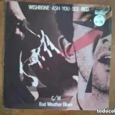 Discos de vinilo: WISHBONE ASH - YOU SEE RED (SG) 1978