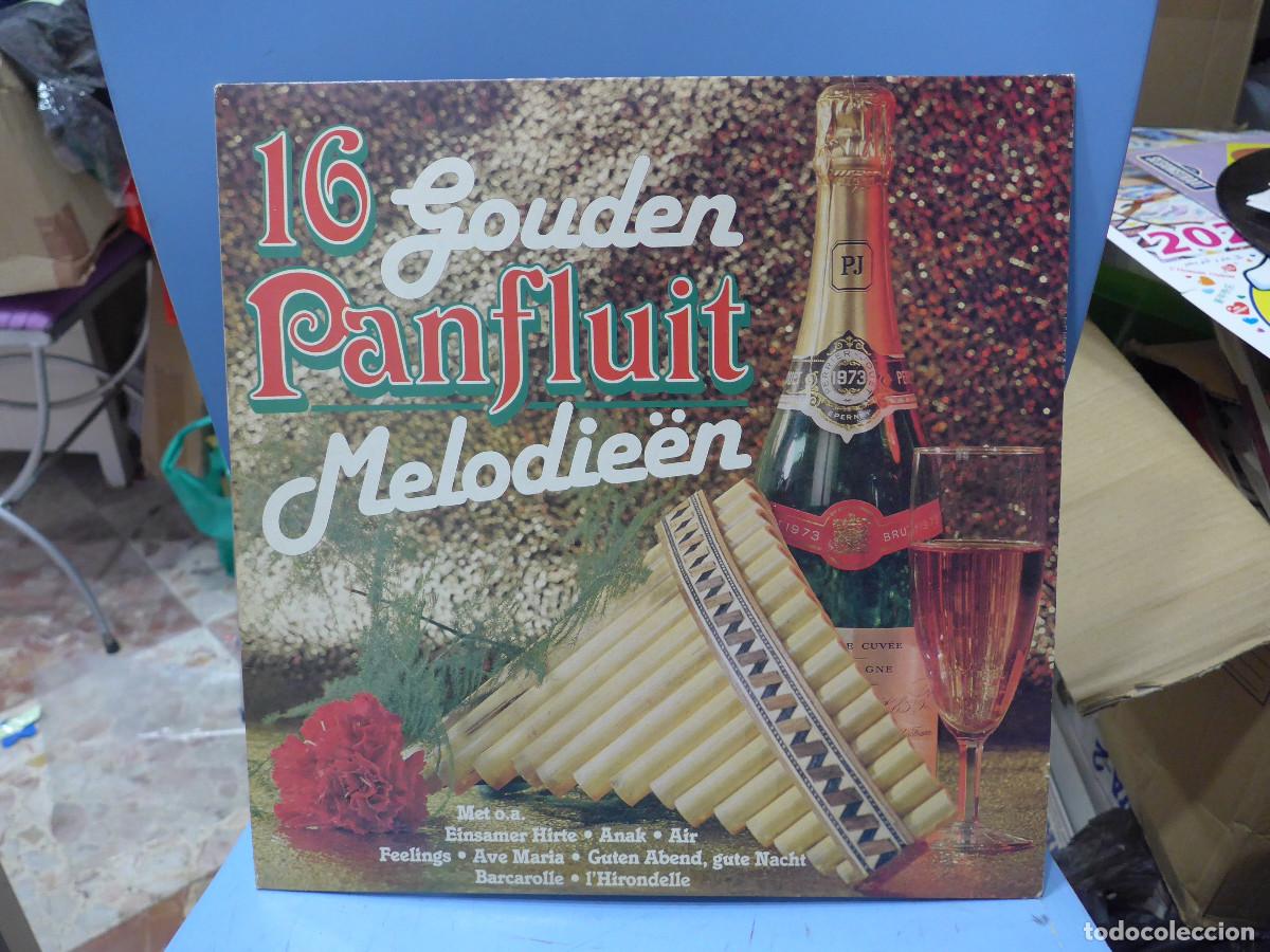Discos de vinilo: 16 GOUDEN PANFLUIT MELODIEEN - Foto 1