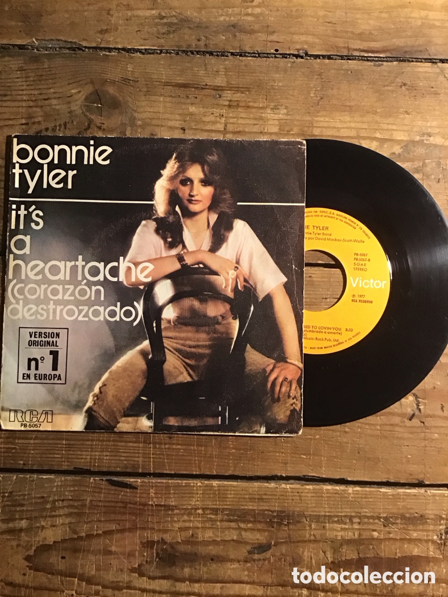 Discos de vinilo: Bonnie Tyler It&rsquo;s A Heartache - Foto 1