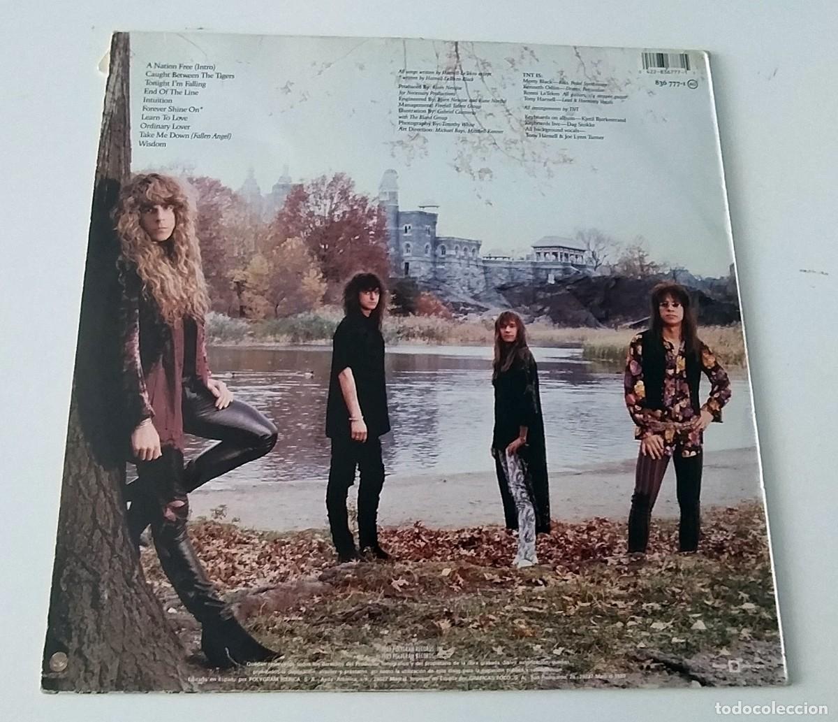 Discos de vinilo: LP TNT - INTUITION (1989) - Foto 2