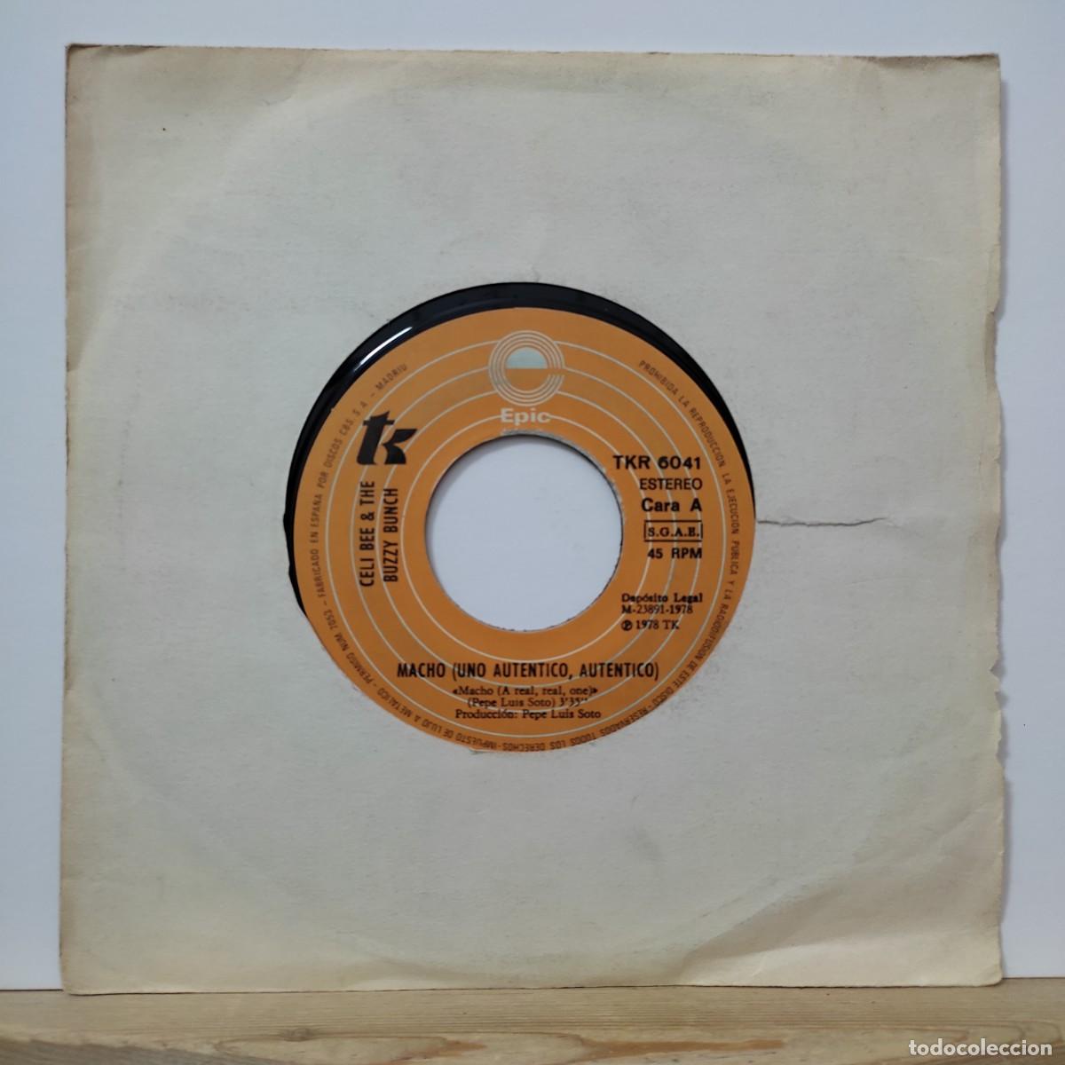 Discos de vinilo: Celi Bee, Macho. editado por Epic/CBS en 1978 - Foto 1