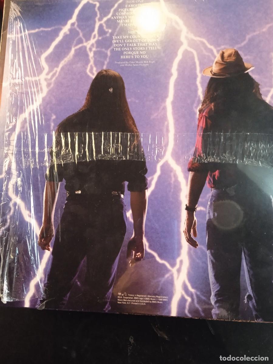 Discos de vinilo: THE SILOS- THE SILOS. LP MINT - Foto 2