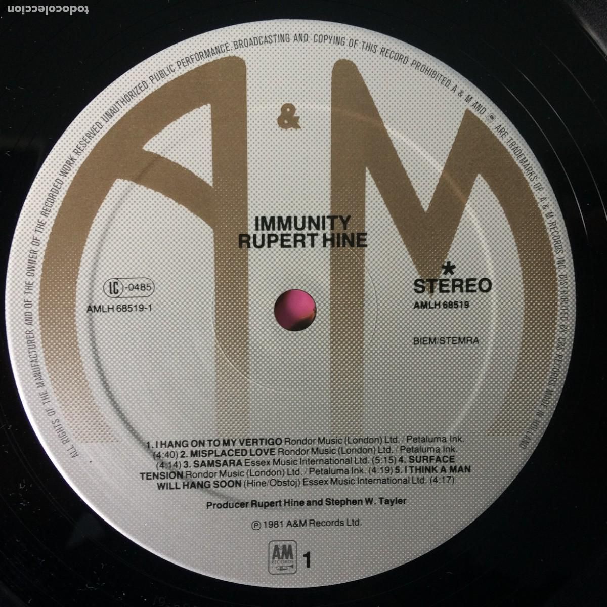 Discos de vinilo: Rupert Hine &lrm;&ndash; Immunity , Holanda 1981 A&M Records - Foto 5