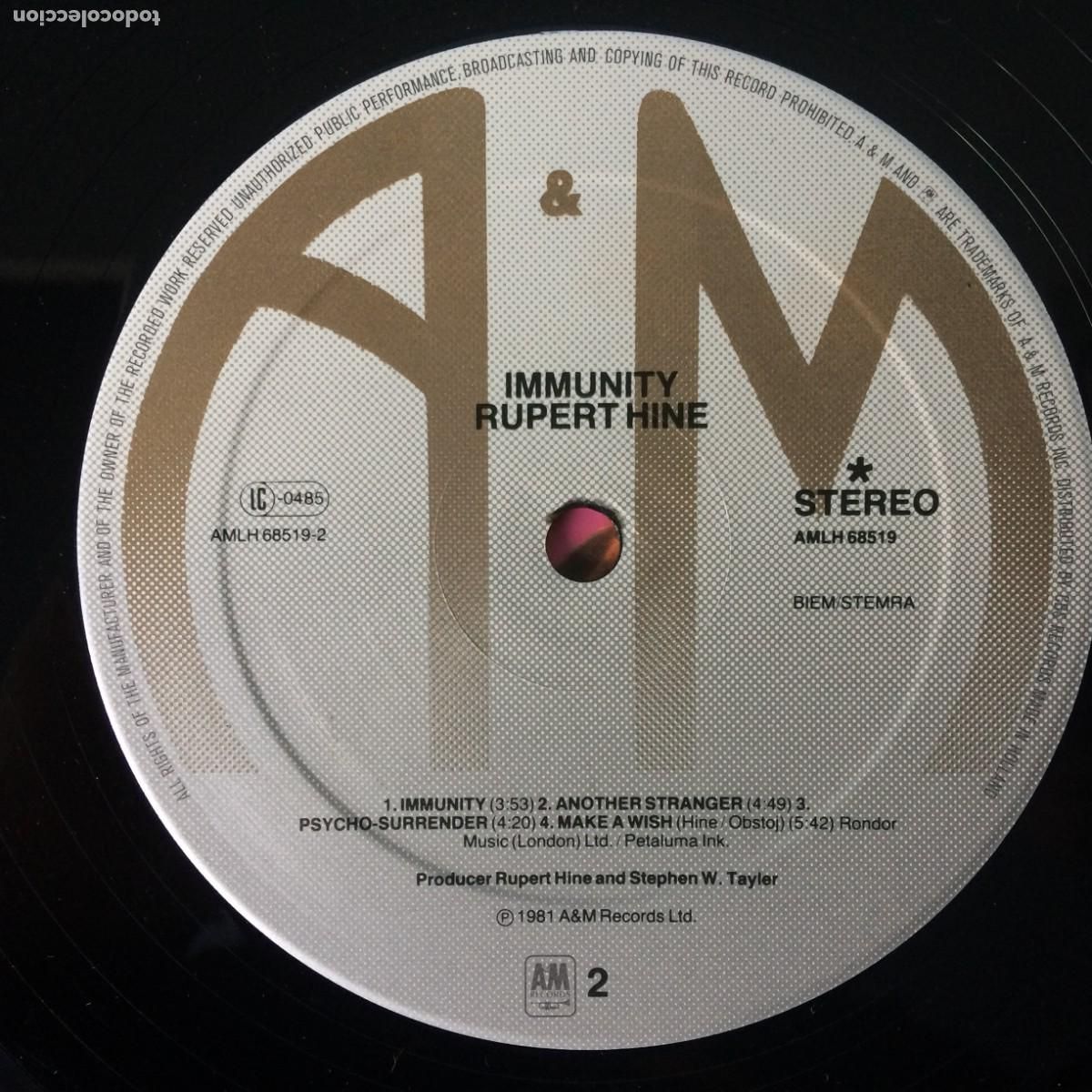 Discos de vinilo: Rupert Hine &lrm;&ndash; Immunity , Holanda 1981 A&M Records - Foto 6