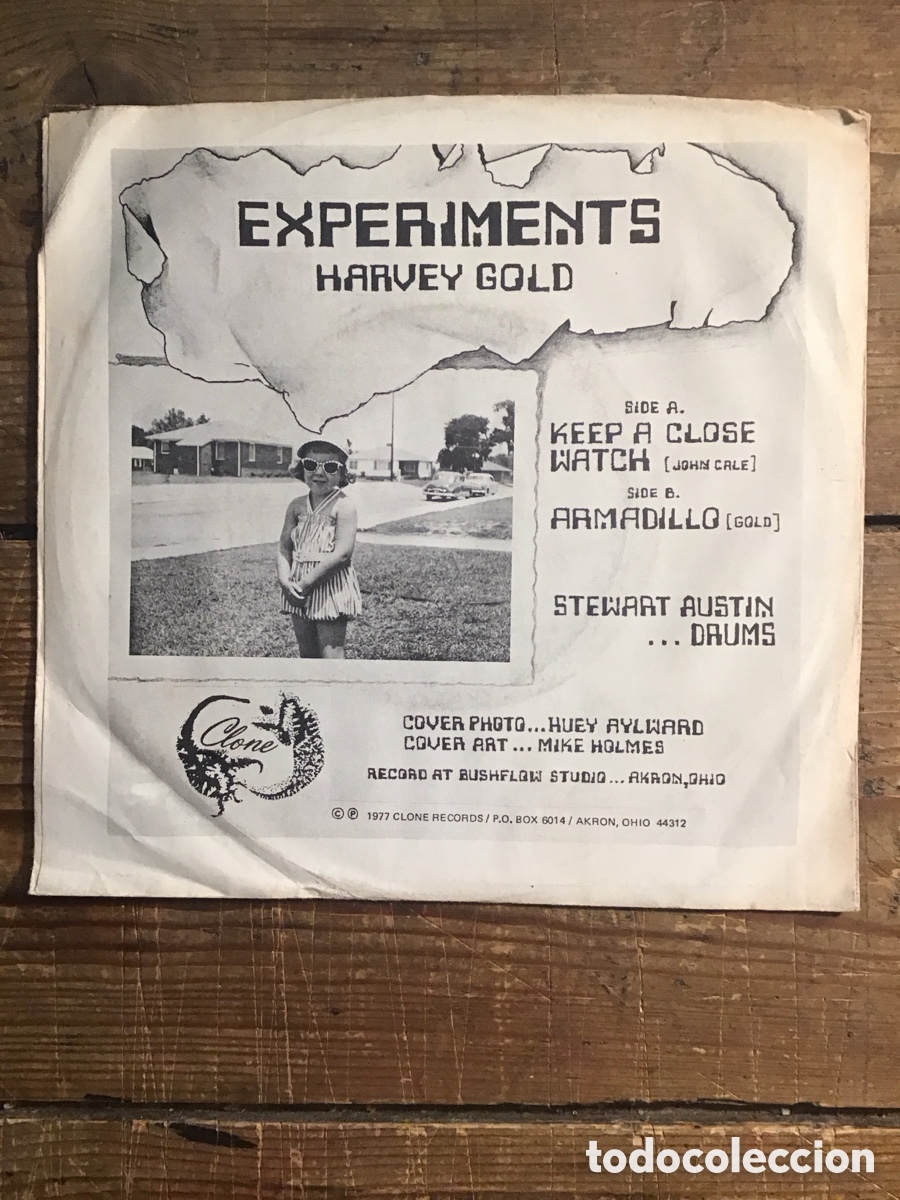 Discos de vinilo: Harvey Gold Experiments - Foto 2