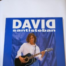 Discos de vinilo: DAVID SANTISTEBAN (REBELDE. 1992 EMI). DISCO VINILO LP 33RPM.
