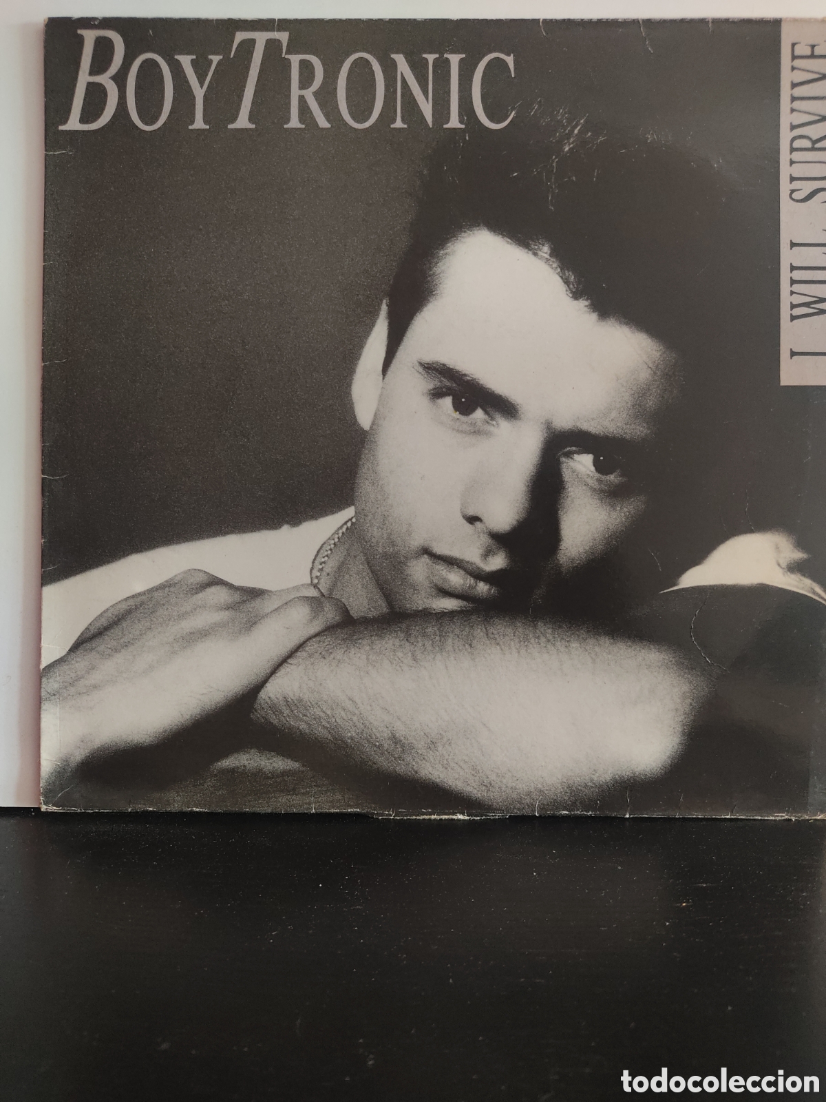 Discos de vinilo: Boytronic &lrm;&ndash; I Will Survive - Foto 1