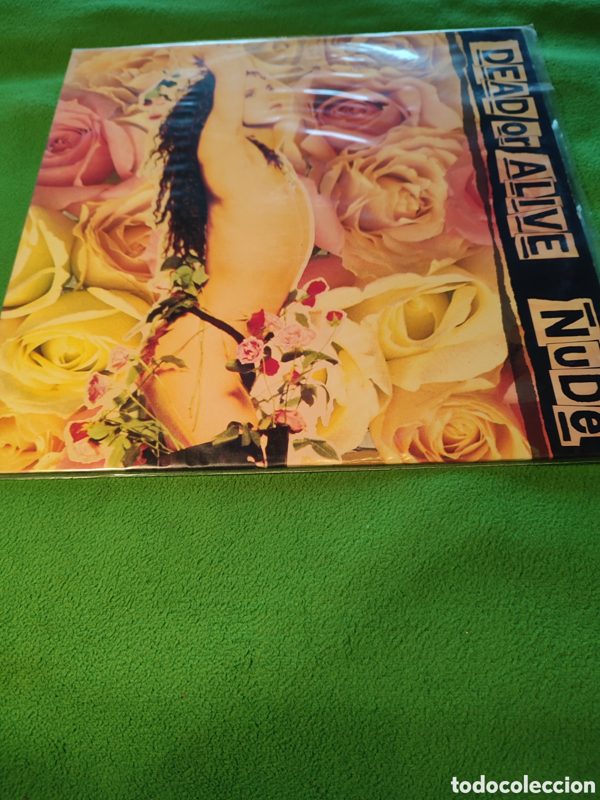 Discos de vinilo: Dead or Alive - Nude - Foto 1