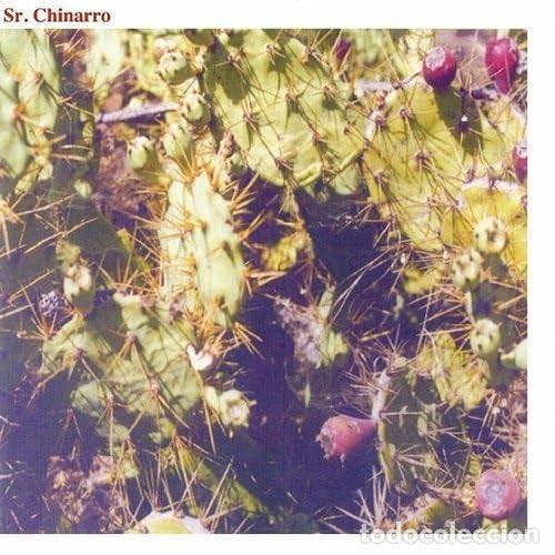Discos de vinilo: Sr.Chinarro - Untitled (1994) LP Nuevo - Foto 1