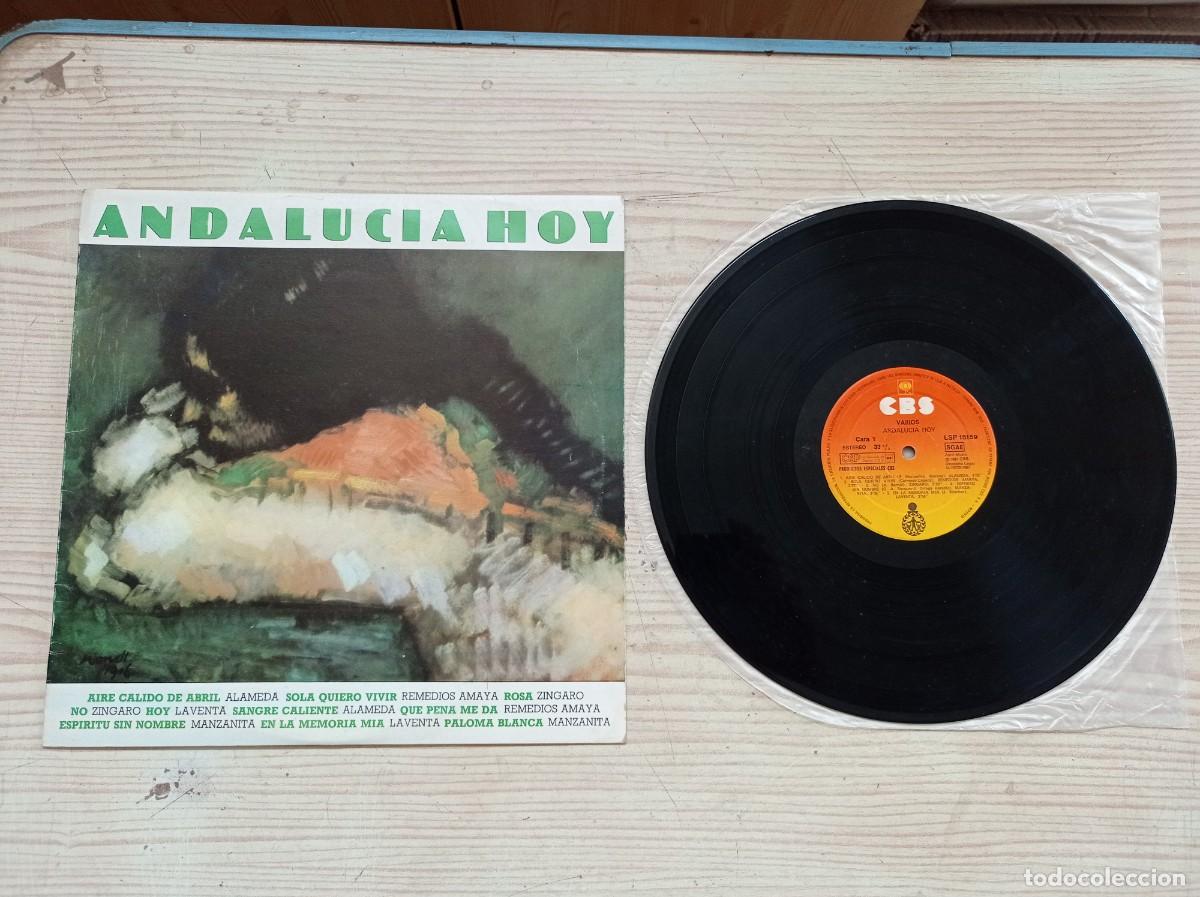 Discos de vinilo: Andalucia Hoy - Varios LP