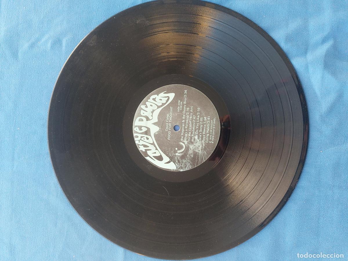 Discos de vinilo: DAVID FISHEL - FOOD FOR THOUGHT - Foto 2