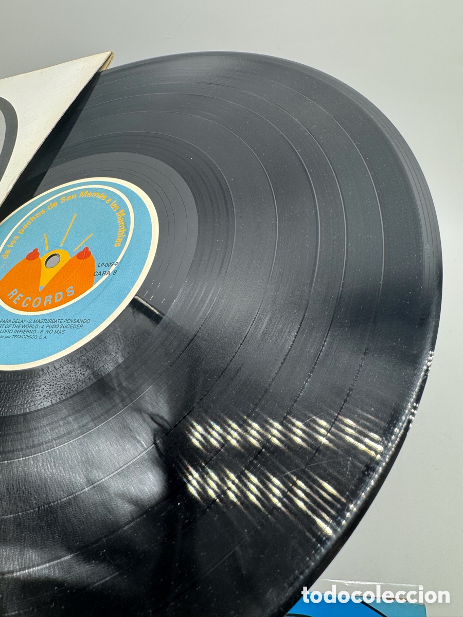 Discos de vinilo: De los pechos de San Mam&eacute;s a las Mamblas disco vinilo lp - Foto 3