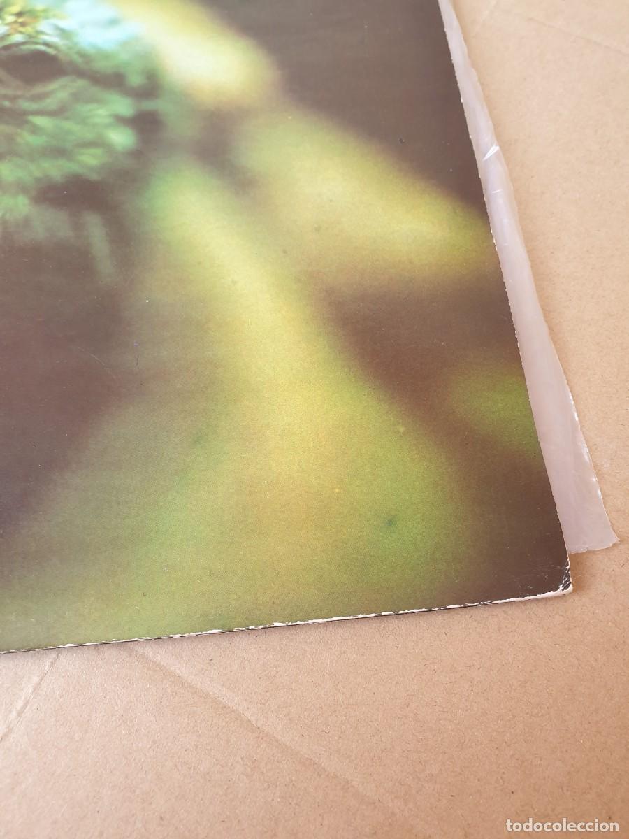 Discos de vinilo: Lote 3 Lps de M&aacute;quina! - Foto 15