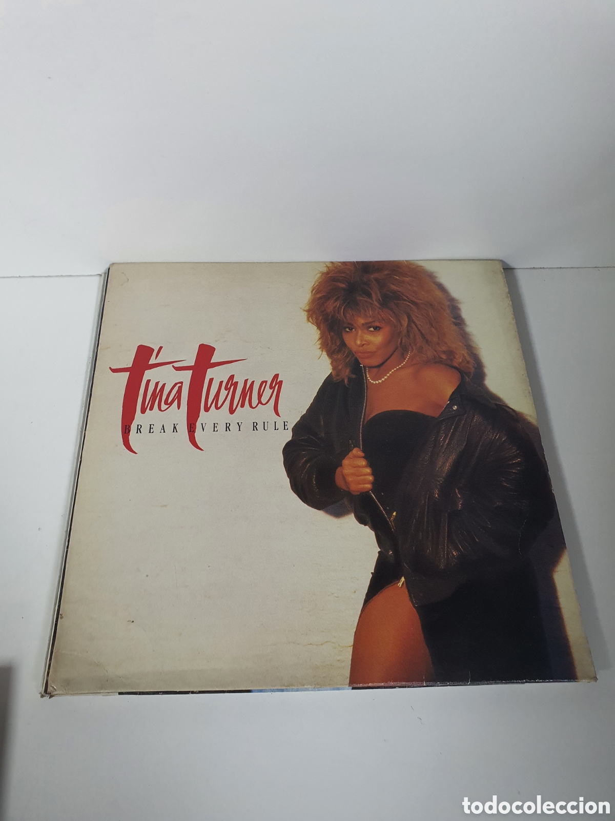 Discos de vinilo: Tina Turner&nbsp;&ndash;&nbsp;Break Every Rule - Foto 1