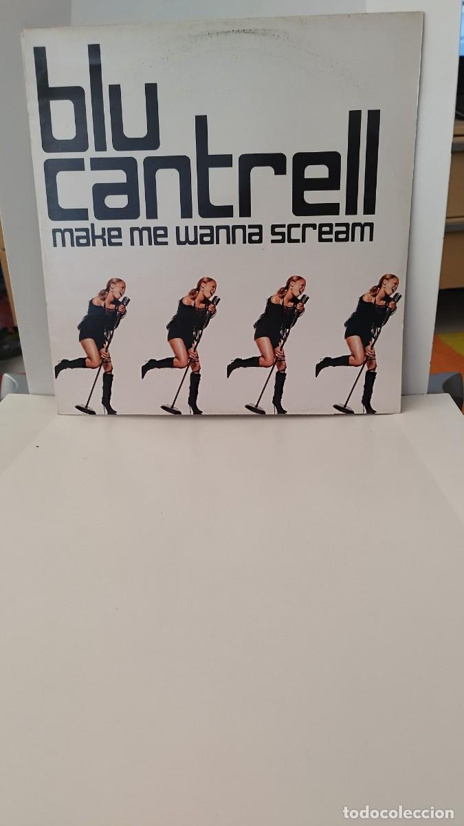 Discos de vinilo: Blu Cantrell &ndash; Make Me Wanna Scream.Vinilo Maxi Single - Foto 1