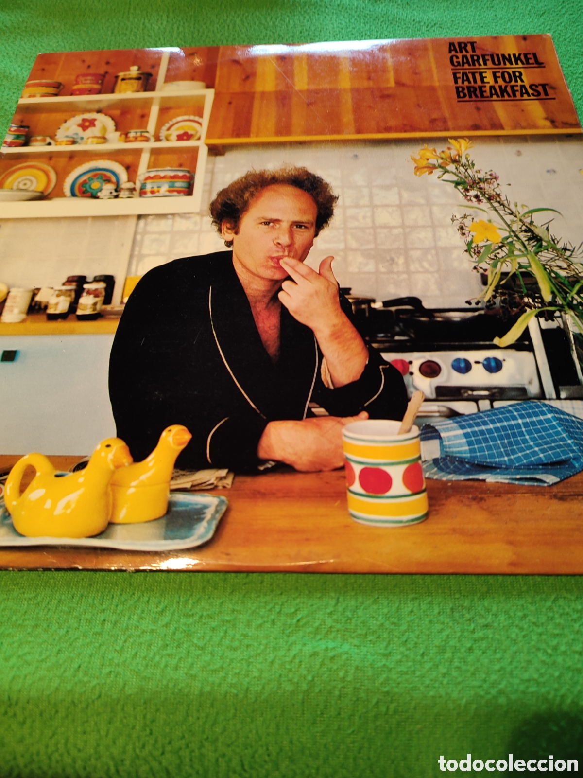 Discos de vinilo: Art Garfunkel - Fate for breakfast - Foto 1