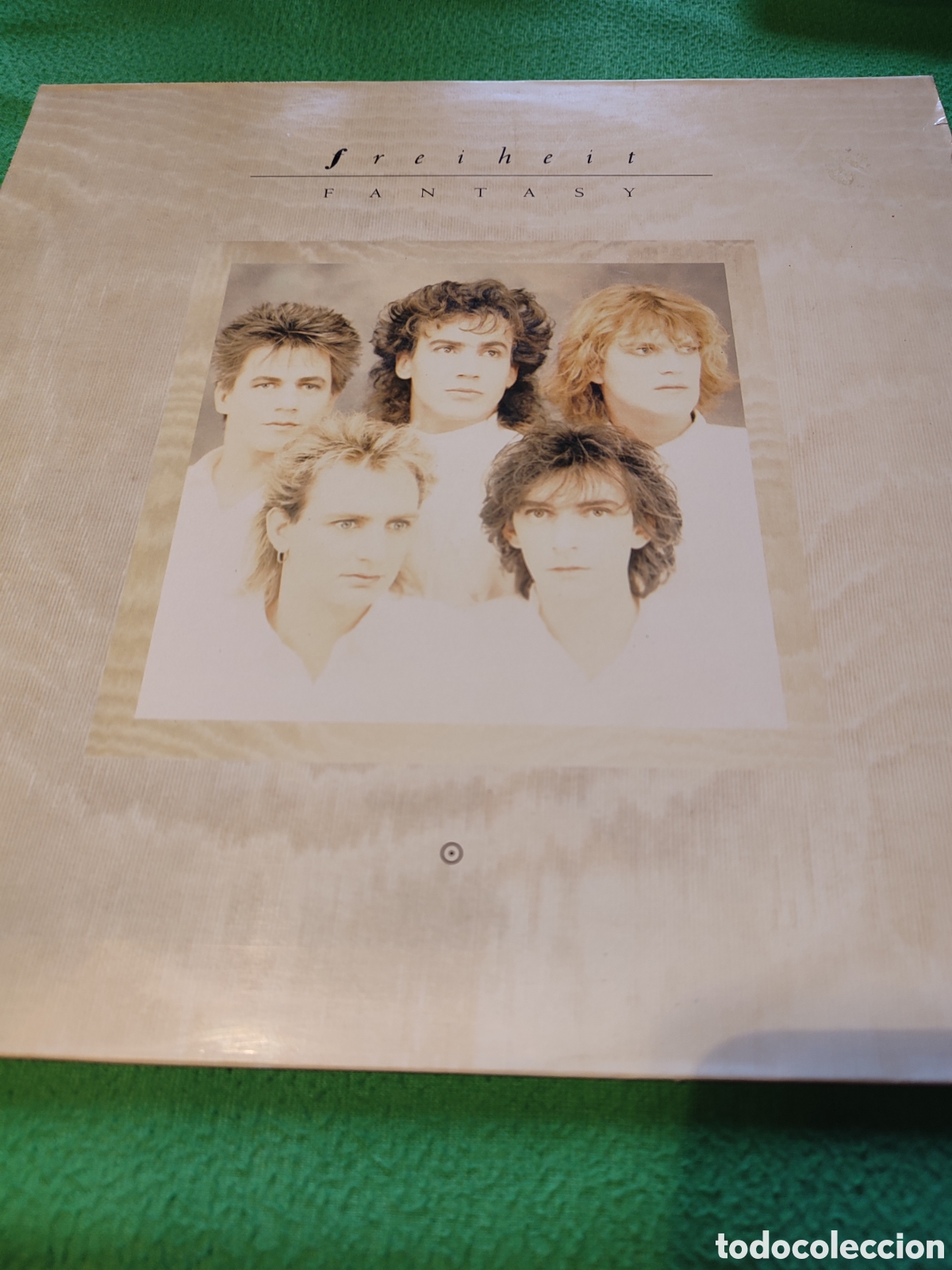 Discos de vinilo: Freiheit - Fantasy Vinilo Lp - Foto 1