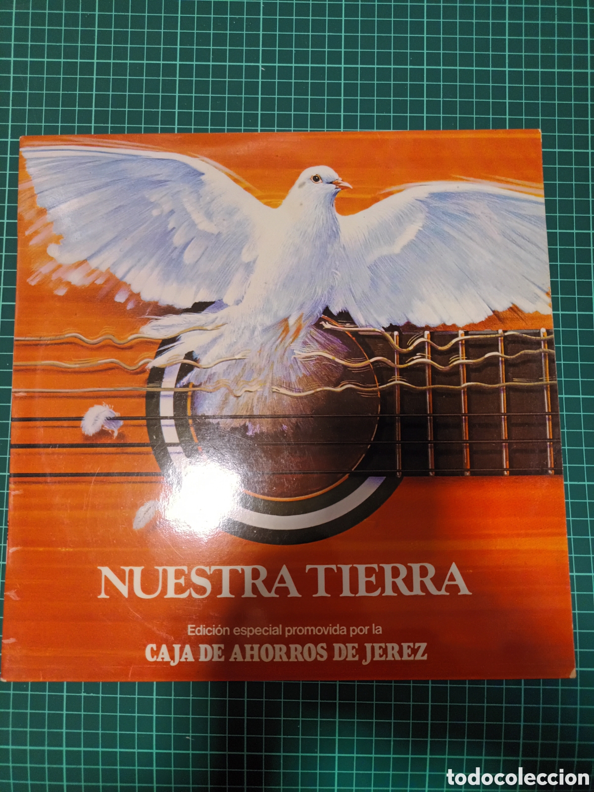 Discos de vinilo: Nuestra tierra - Foto 1