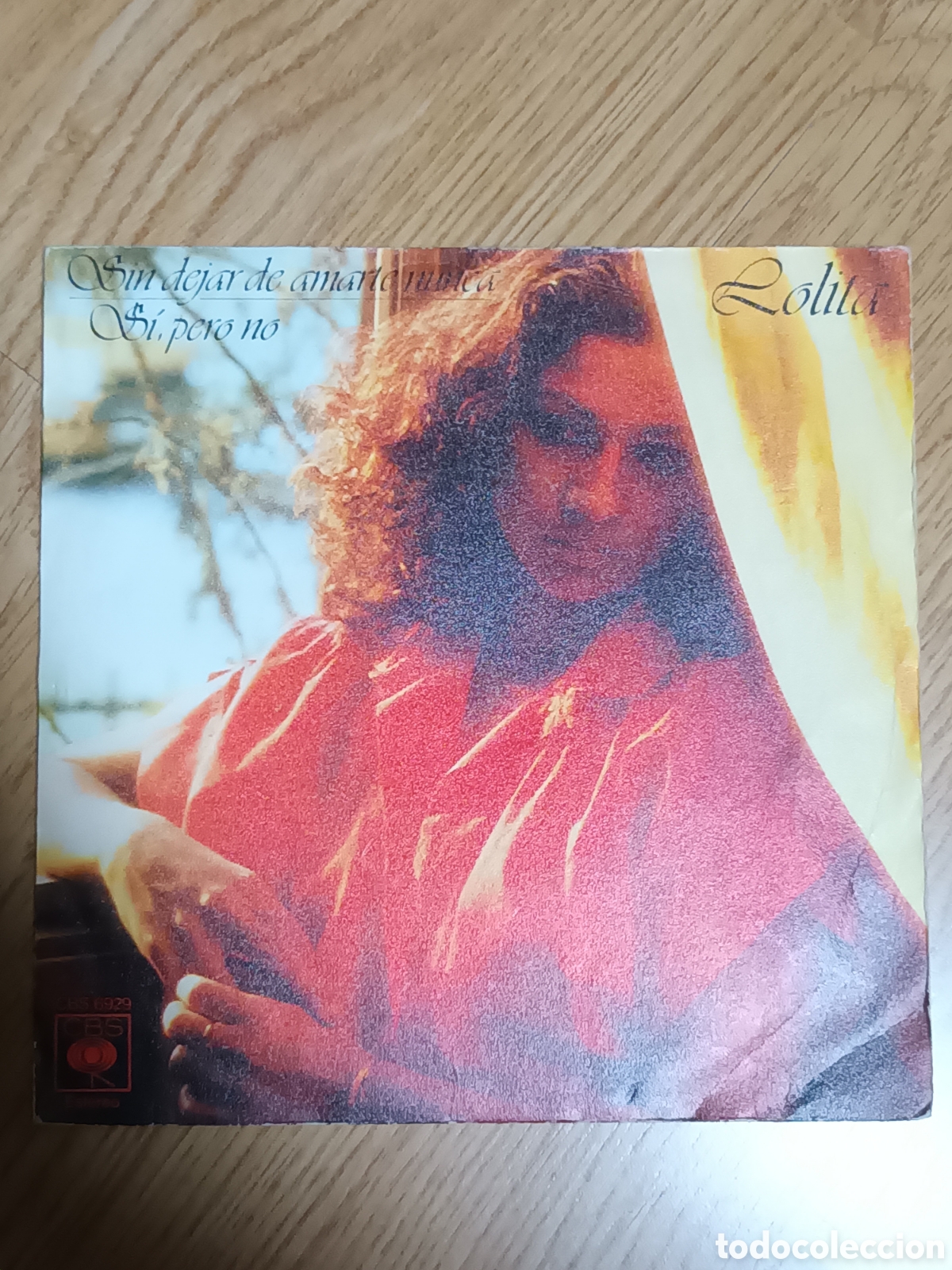 Discos de vinilo: Lolita - Foto 1