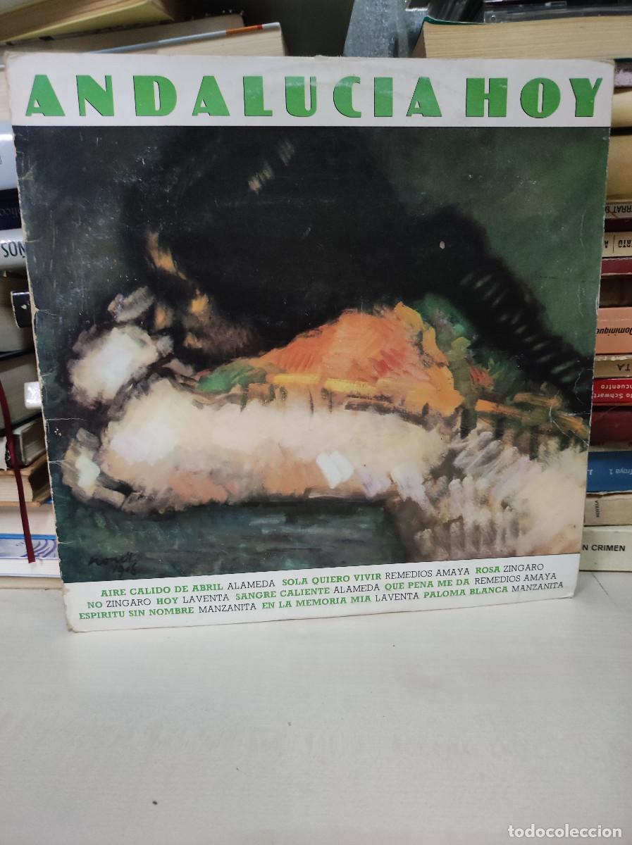 Vinyl-Schallplatten: Andalucia Hoy
