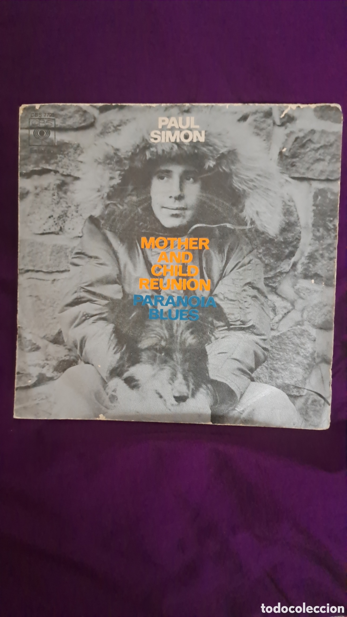 Discos de vinilo: Paul Simon - Foto 1