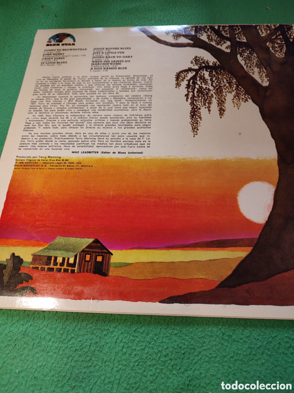 Discos de vinilo: Furry Lewis - Fourth and beale - Foto 2