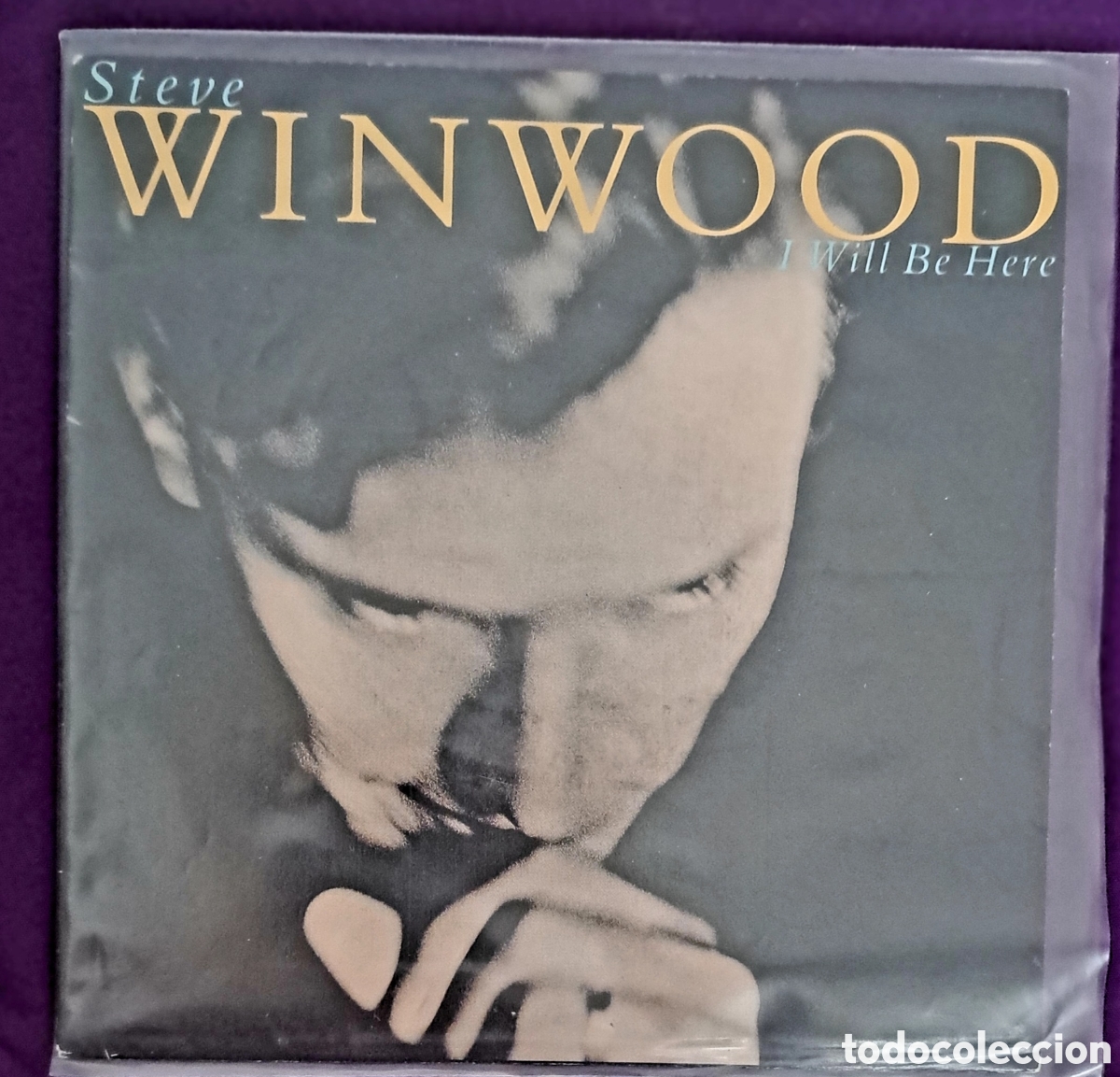 Discos de vinilo: STEVE WINWOOD - Foto 1