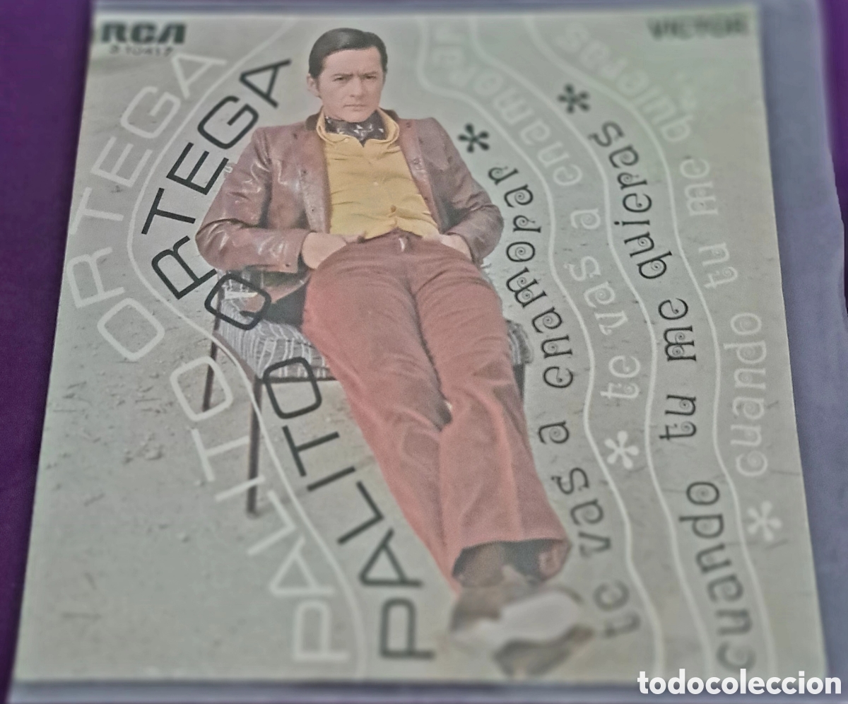 Discos de vinilo: Palito Ortega - Foto 1