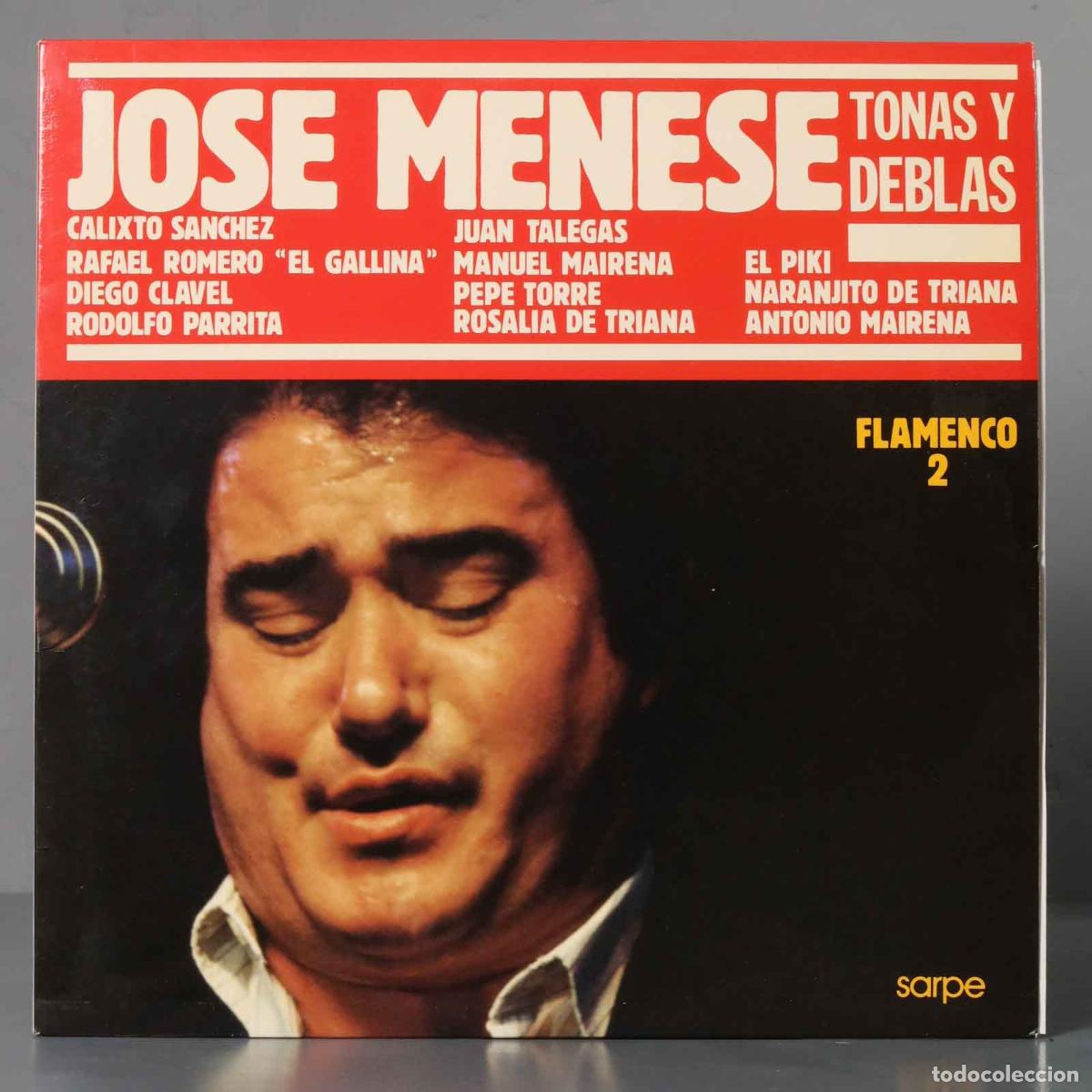 Discos de vinilo: LP. Tonas Y Deblas. MENESE. TONAS Y DEBLAS - Foto 1