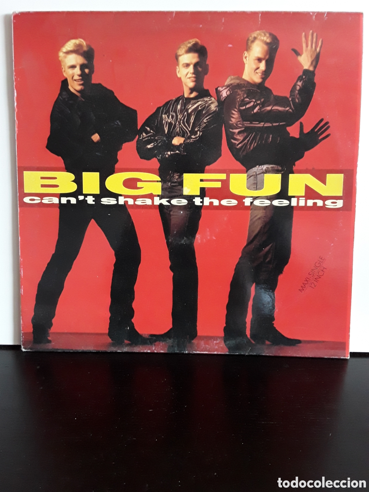 Discos de vinilo: Big Fun &lrm;&ndash; Cant Shake The Feeling - Foto 1