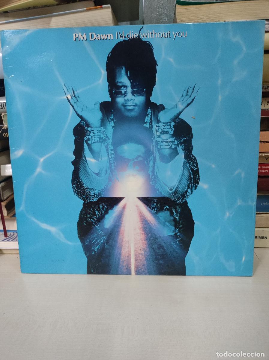 Discos de vinilo: PM Dawn &ndash; Id Die Without You - Foto 1
