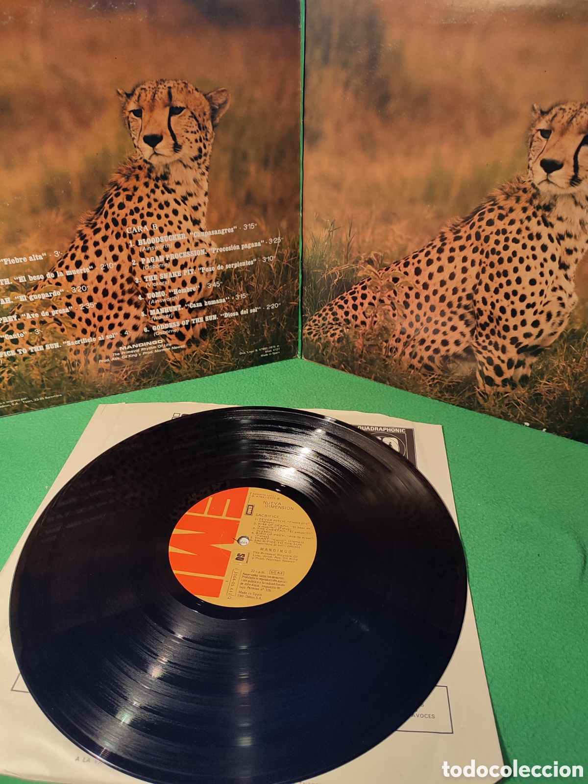 Discos de vinilo: Sacrifice - Mandingo - Foto 2