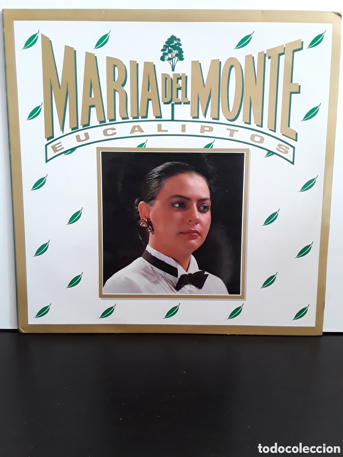 Discos de vinilo: Mar&iacute;a Del Monte &lrm;&ndash; Eucaliptos - Foto 1